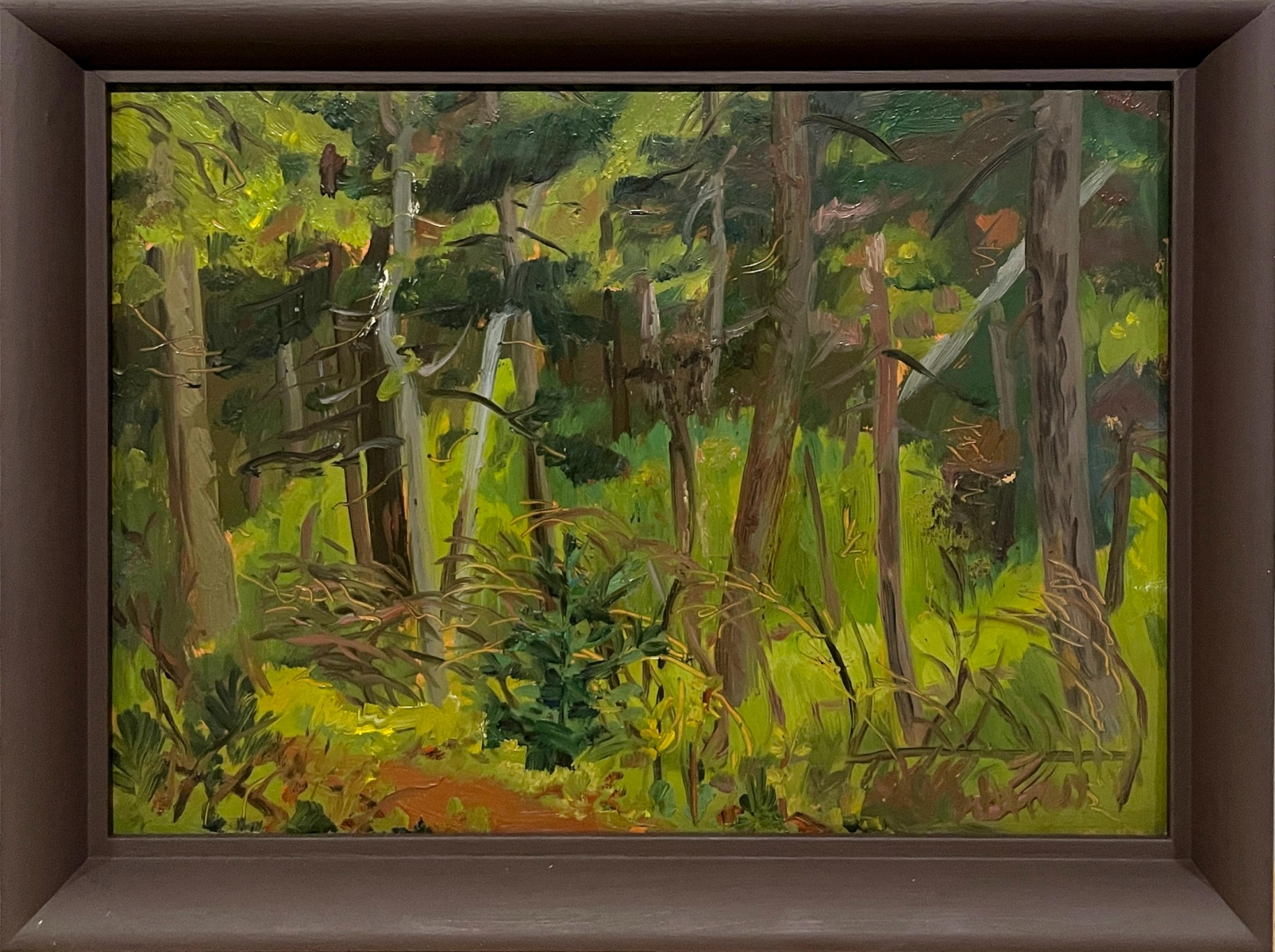 Harold Haydon Figurative Painting - A Charming Vintage 1930s Forest Landscape, Algonquin Park, Ontario, Canada