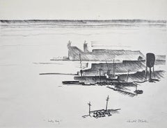 Used Lake Fog