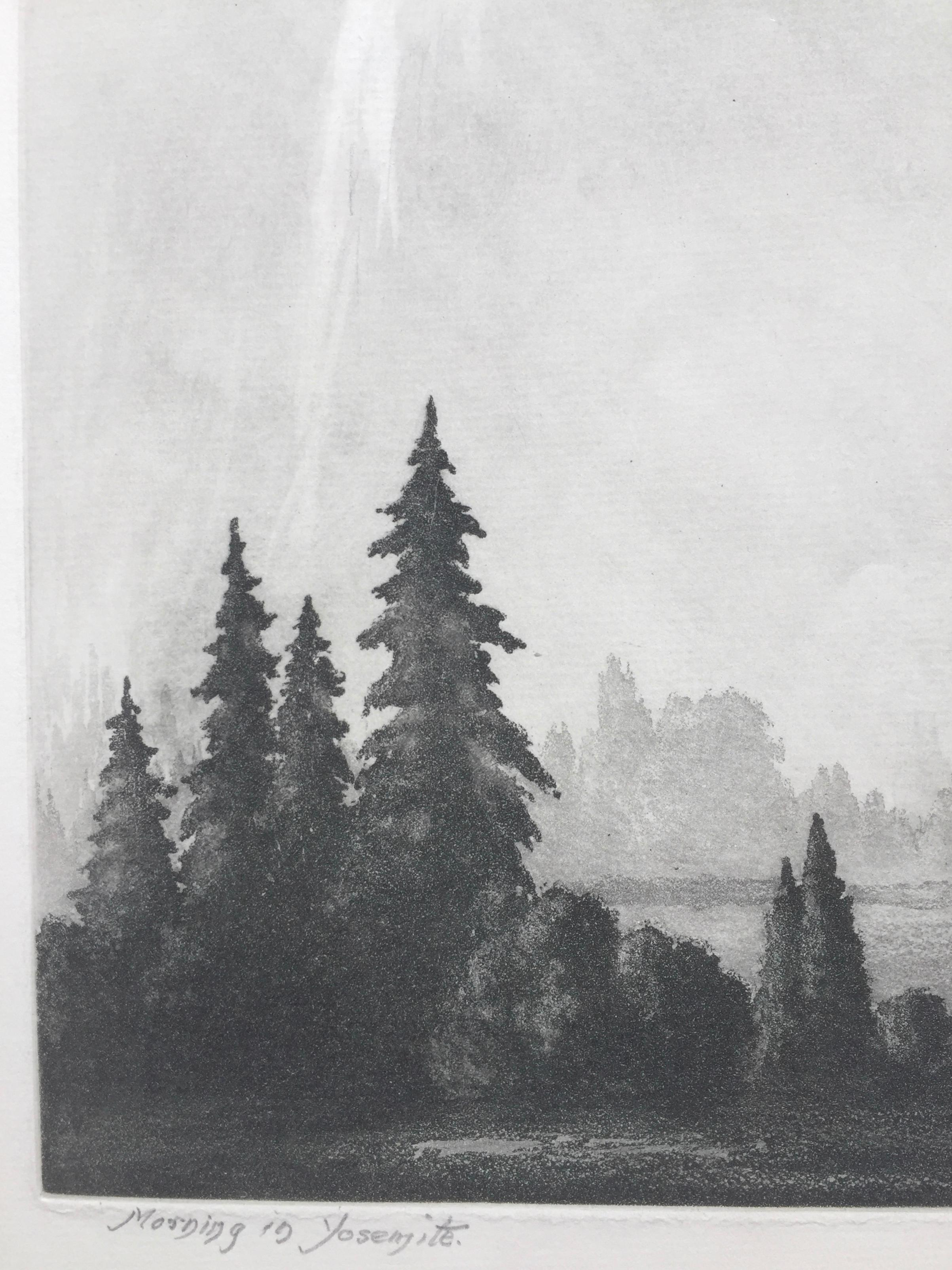 MAÑANA EN YOSEMITE - Landscape Print Gris de Harold Lukens Doolittle
