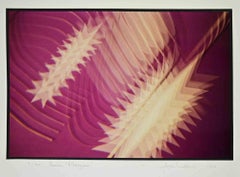 Impresión de exposición de "Vibrazioni" de Miller Null - Fotografía antigua - 1990