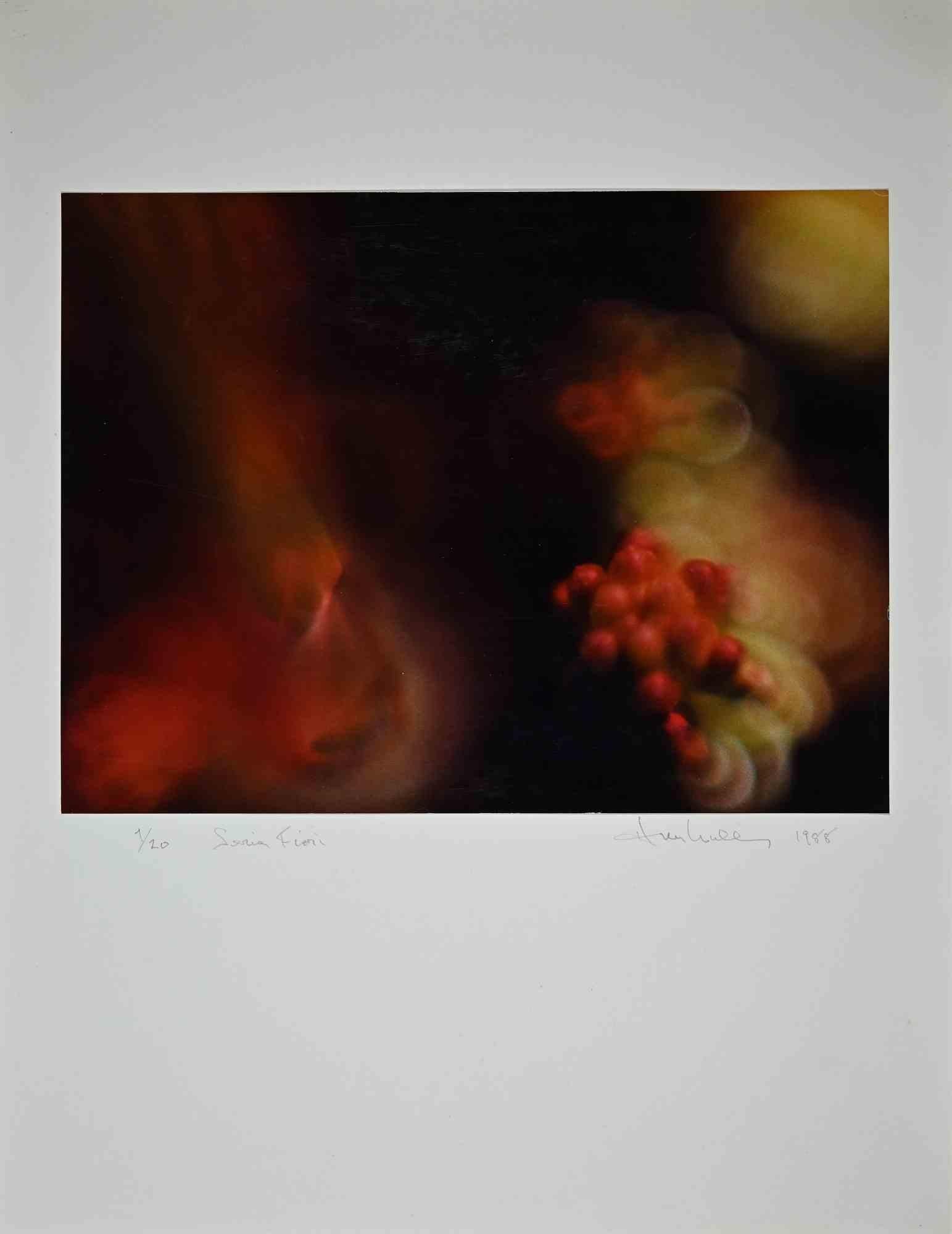 Print di Harold Miller Null - Stampa di un'esposizione del 1988 di A. Miller Null - Fotografia d'epoca - 1988