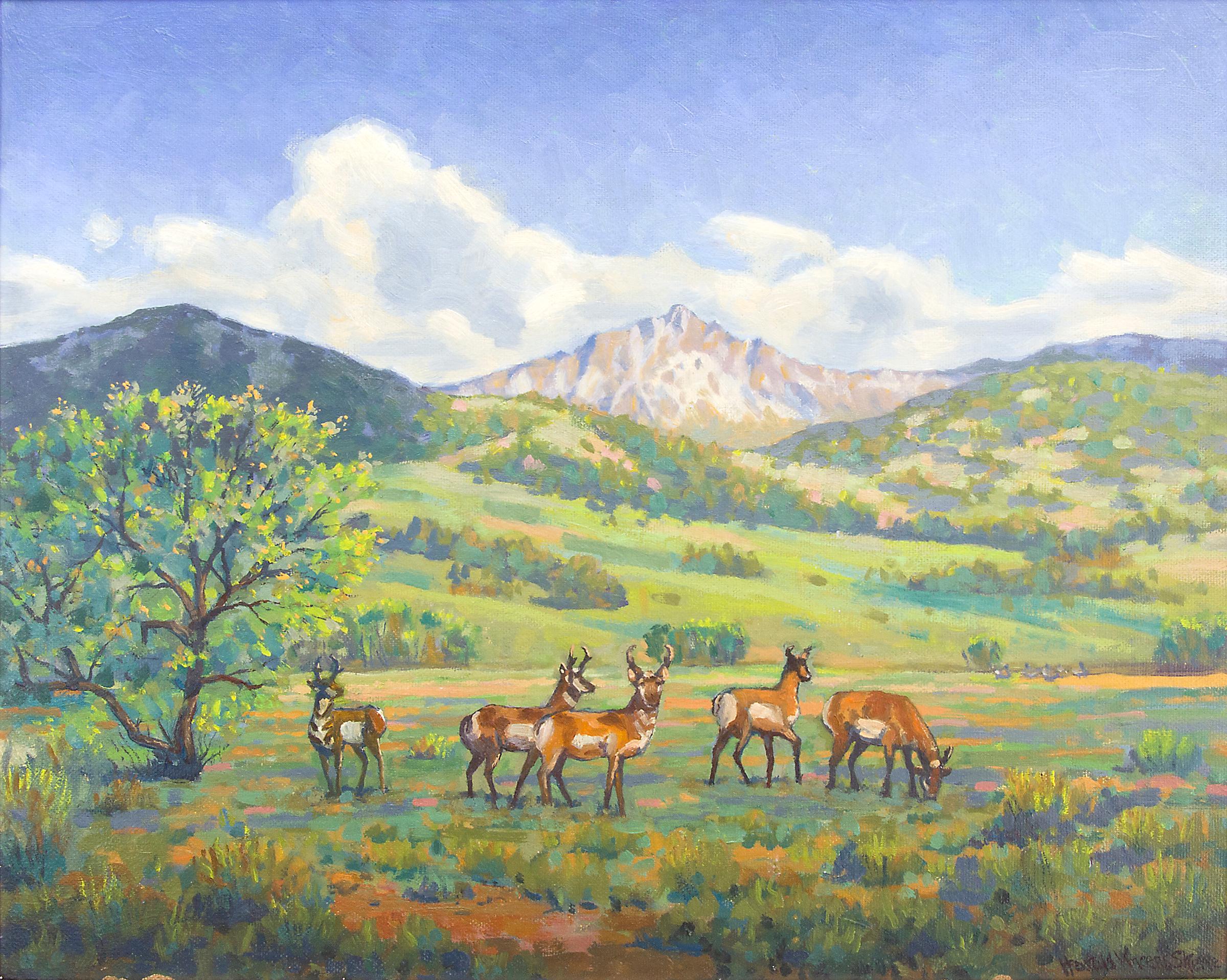 colorado mountain paintings