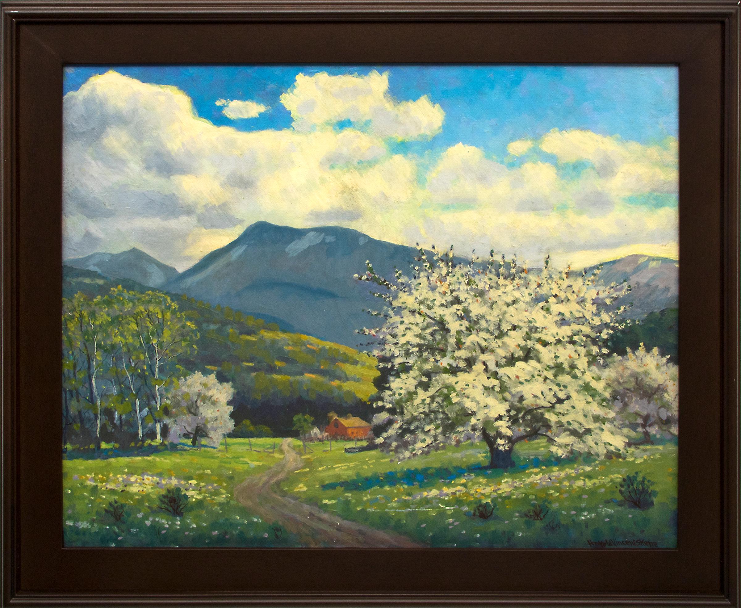 Apple Tree (Colorado Mountain Landscape, Blossoms, Spring on the Western Slope)