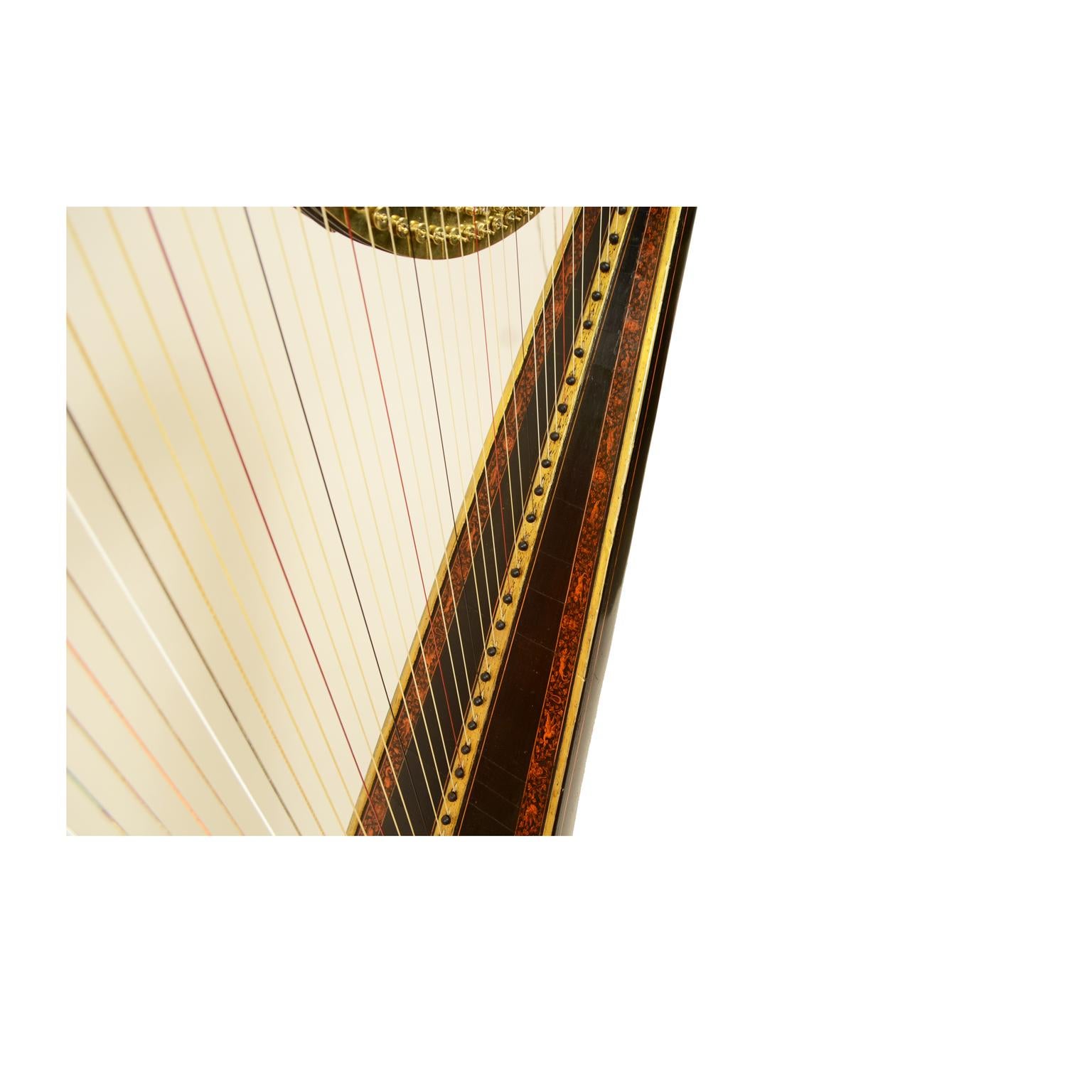 barberini harp