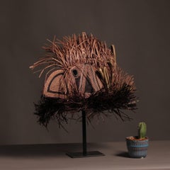 Harpy Eagle decorative tribal mask