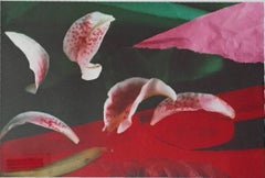 Celebration Series - Untitled