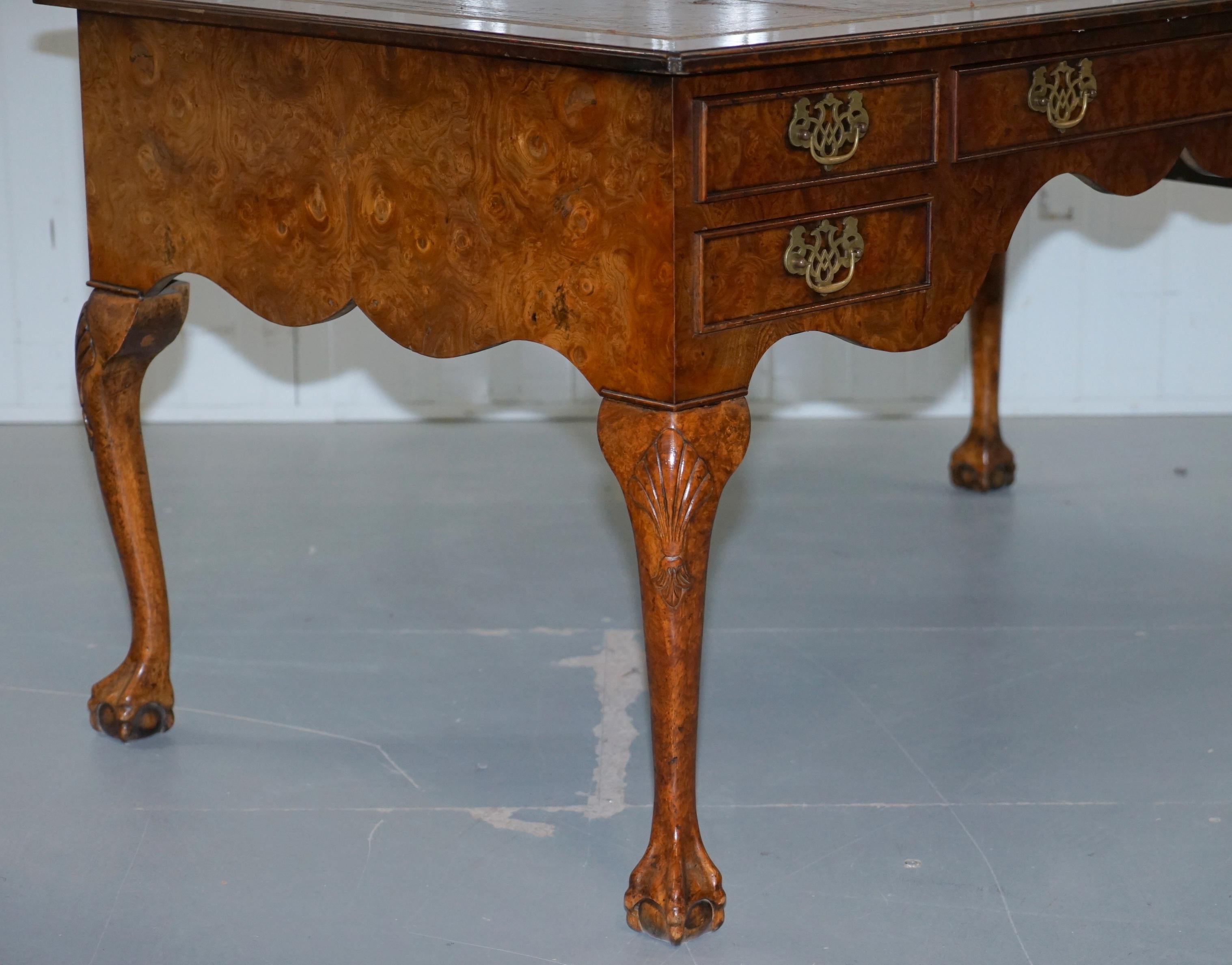 Harrods London Burr Walnut Brown Leather Claw and Ball Chippendale Partner Desk 6