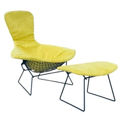 Harry Bertoia Bird Chair & Ottoman by Knoll