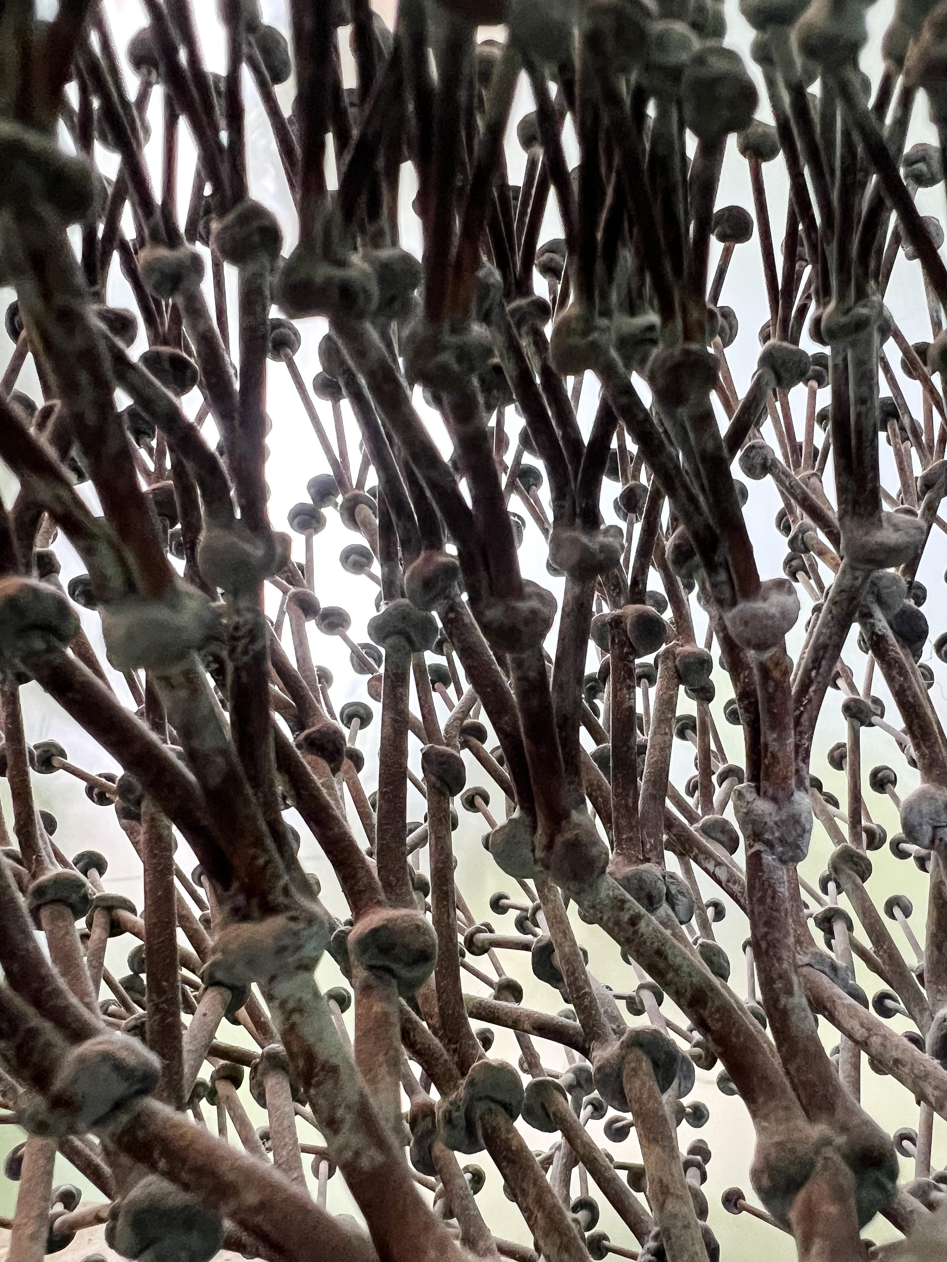 Harry Bertoia Bush Form Sculpture 7