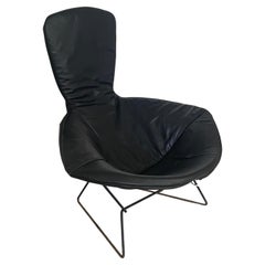 Harry Bertoia pour Knoll fauteuil oiseau noir