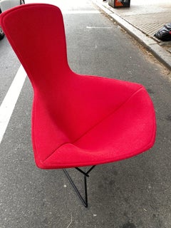 Harry Bertoia pour Knoll fauteuil BIRD