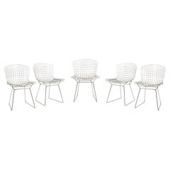 Harry Bertoia pour Knoll. Lot de 5 chaises. Années 1970.