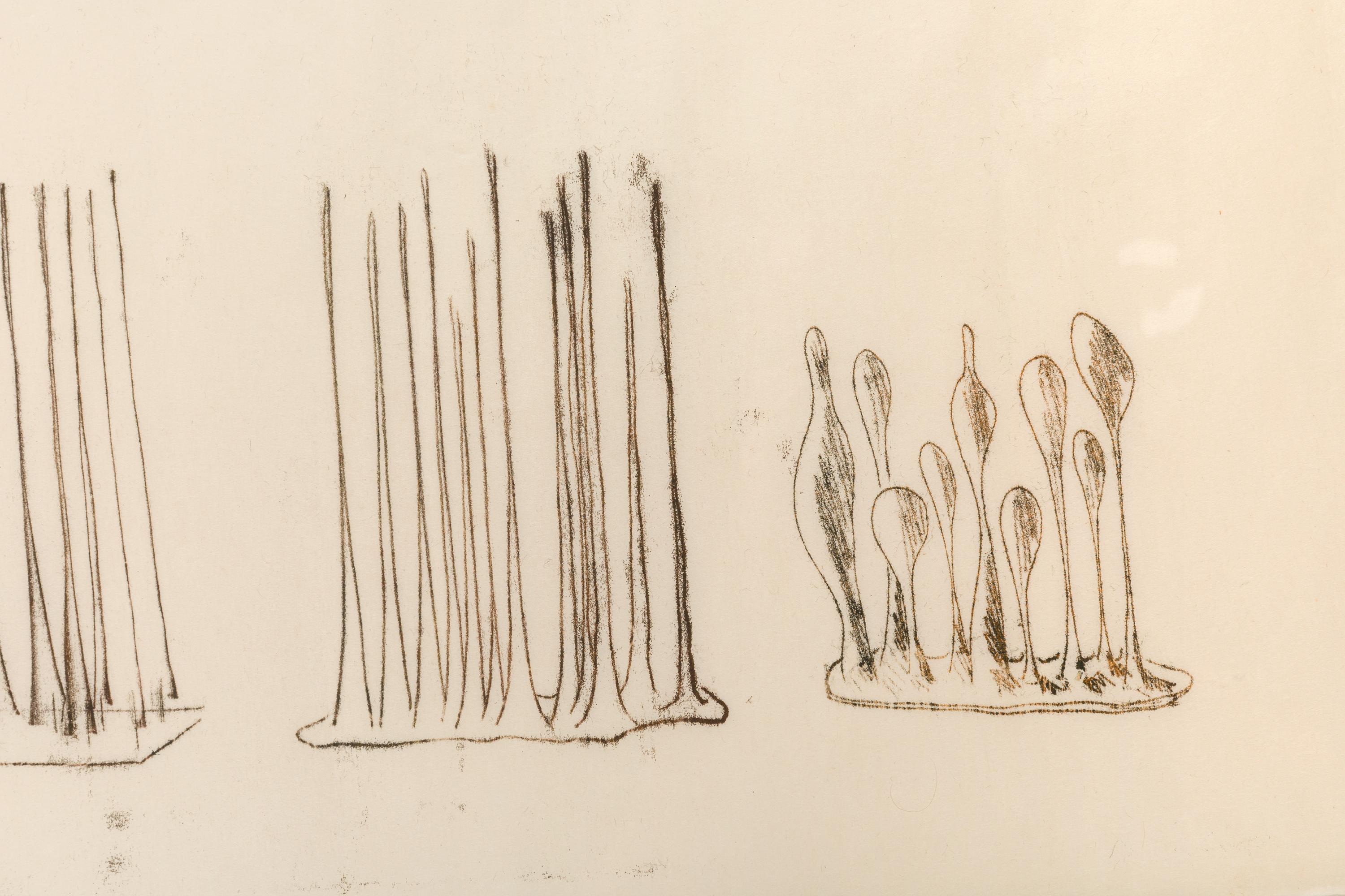 Bertoia schuf im Laufe seiner Karriere Hunderte, wenn nicht Tausende einzigartiger Monoprints, oft als Arbeitszeichnungen für seine Skulpturen. Er wandte eine Vielzahl von Techniken an, um zu seinen einzigartigen Ergebnissen zu gelangen, wobei er