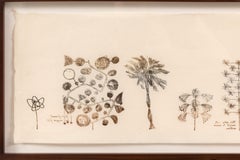 Monoimpression sur papier de riz encadrée, Harry Bertoia, États-Unis, années 1960