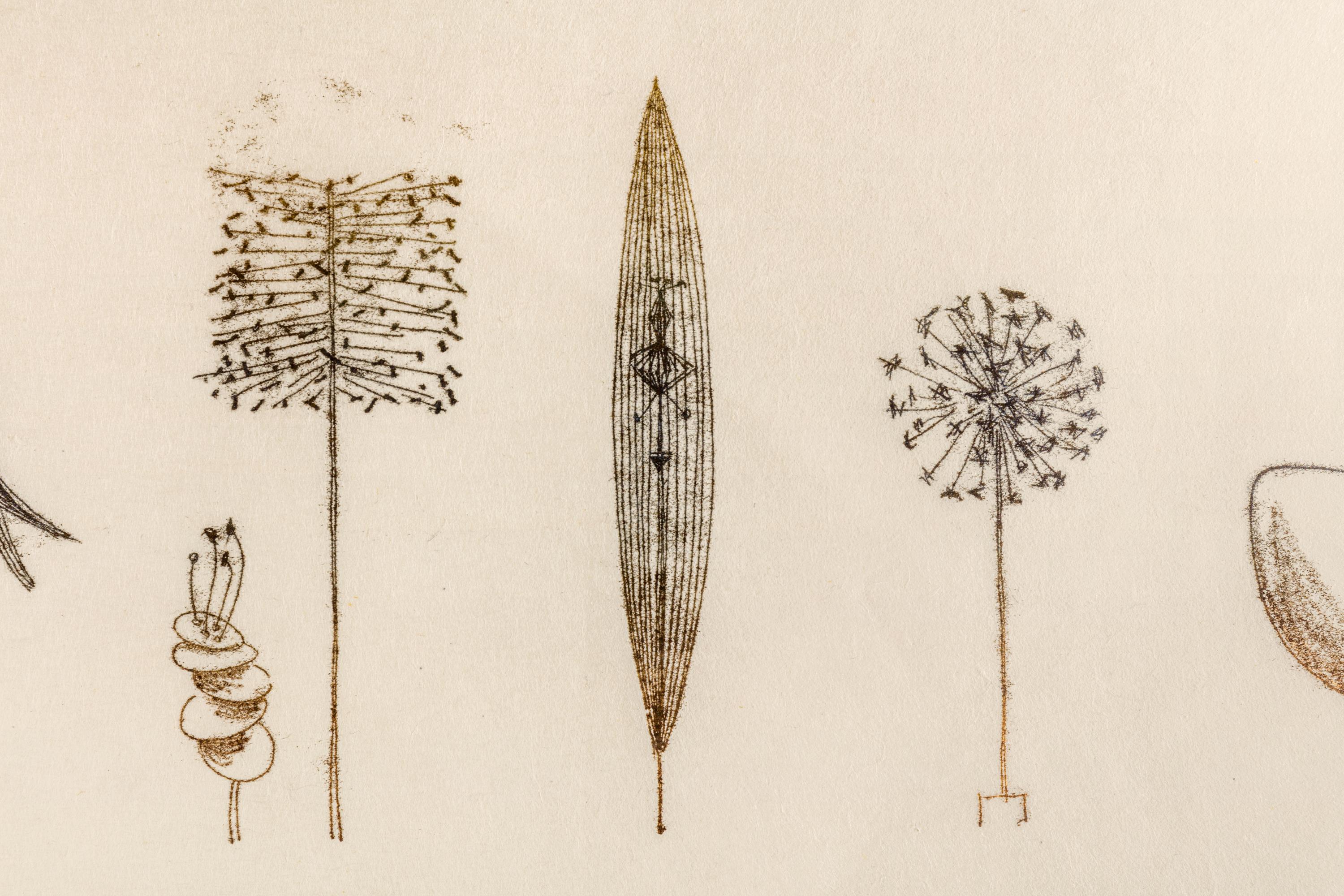 Bertoia created hundreds if not thousands of one of a kind monotypes in his career, often as working drawings for his sculpture works. He employed a variety of techniques to arrive at his unique ends, most often scribing the reverse of a paper on an