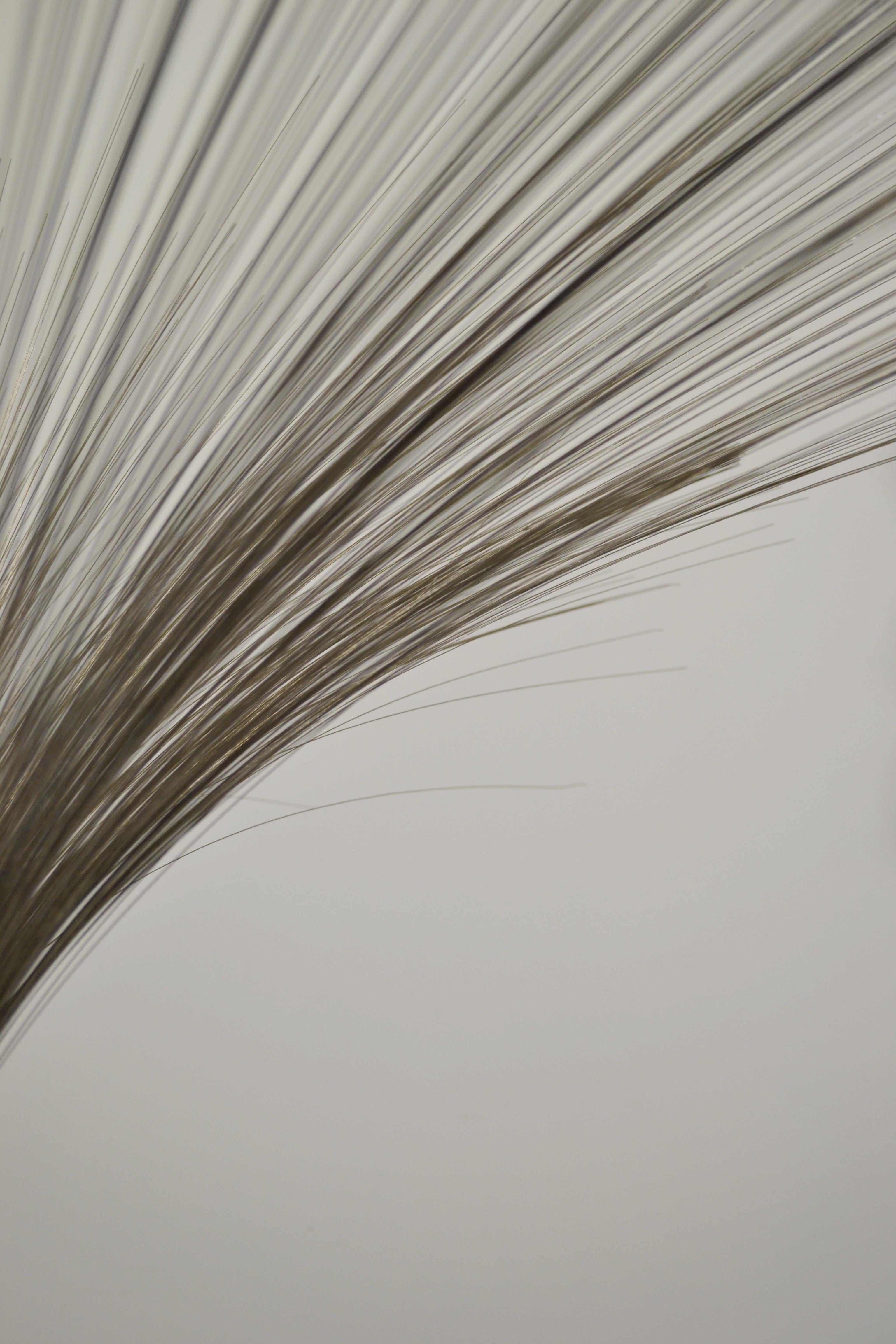 Acciaio Scultura cinetica a spruzzo di Harry Bertoia - Anni '70 in vendita
