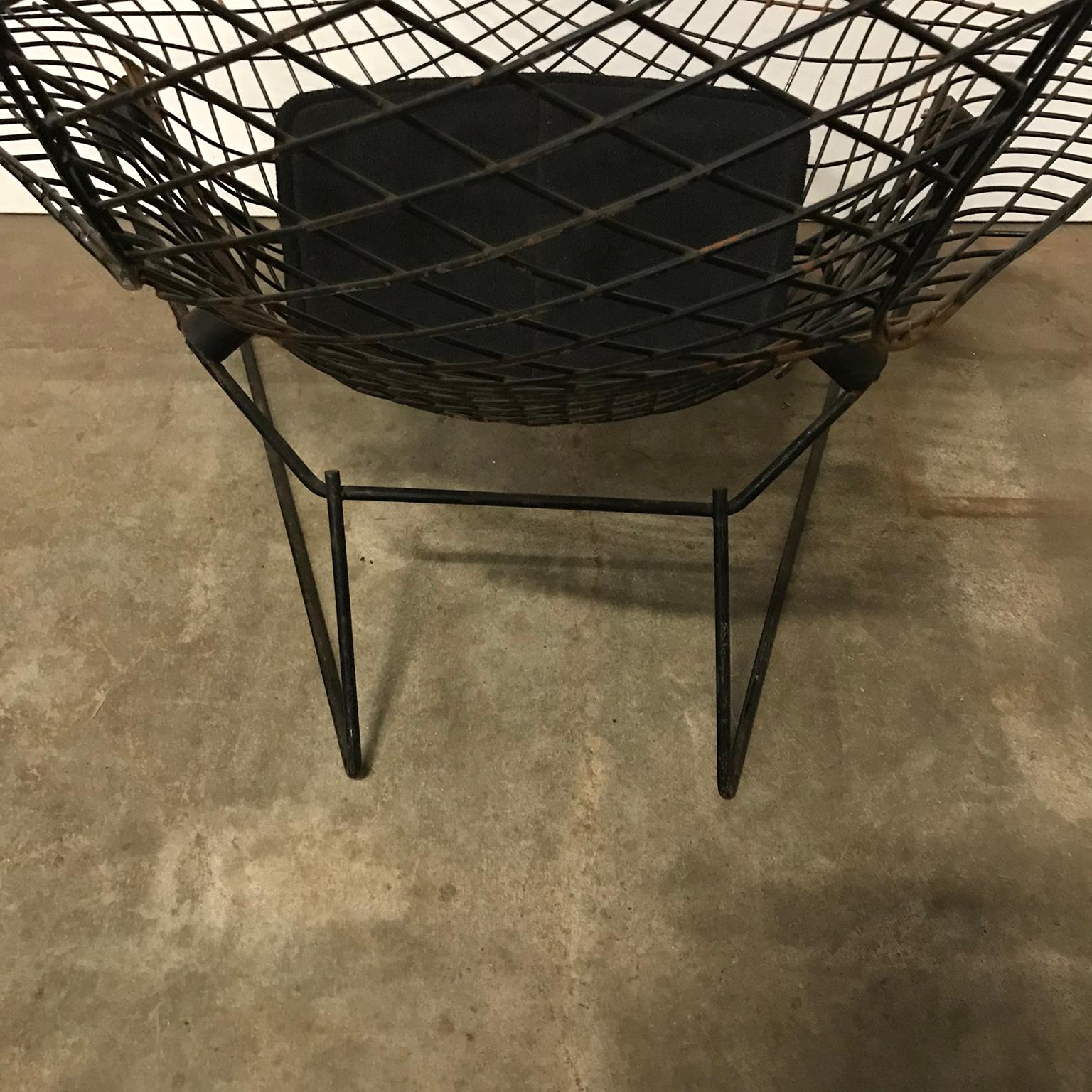 1952, Harry Bertoia for, Knoll International, Large Bird Chair in Black For Sale 5