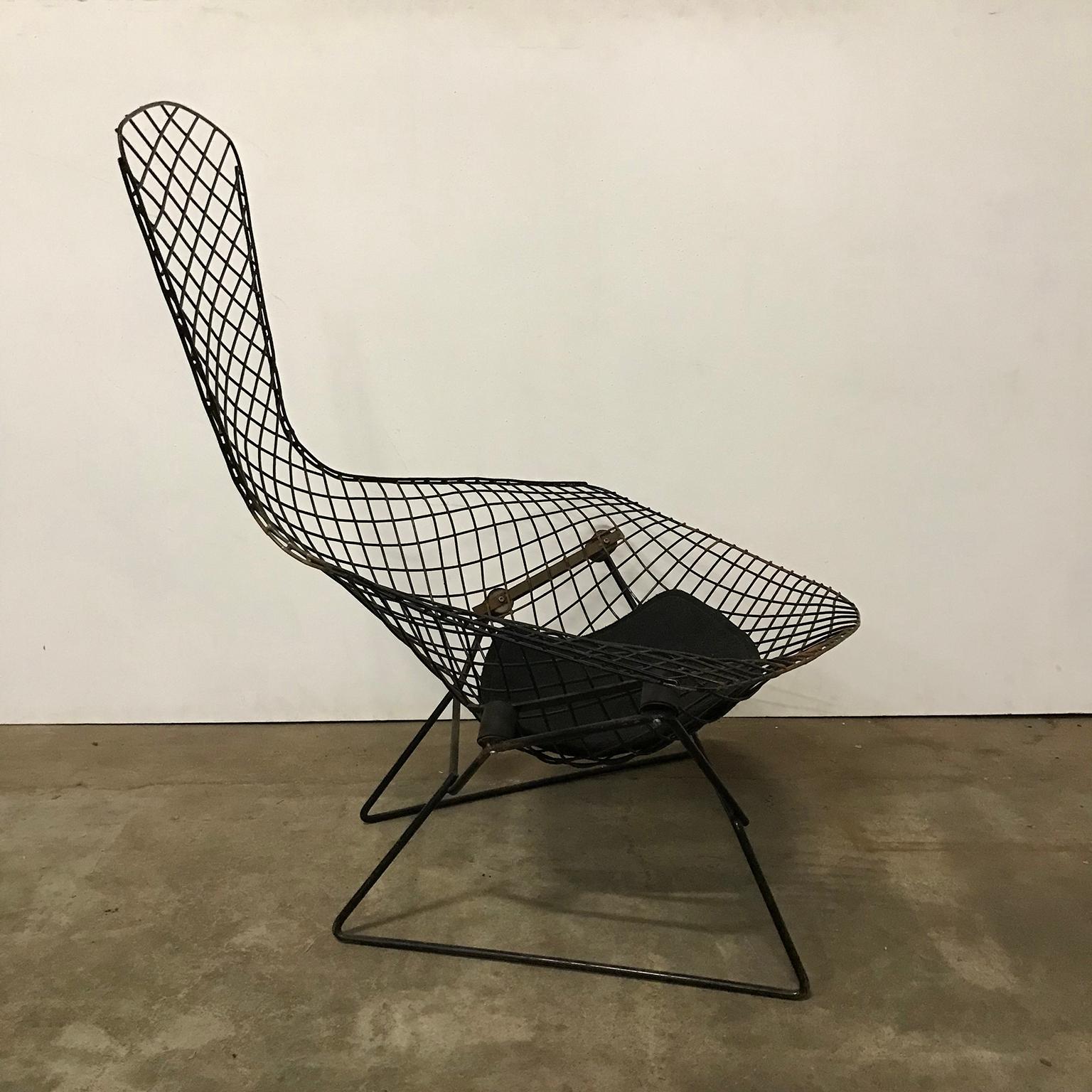 Mid-Century Modern 1952, Harry Bertoia for, Knoll International, Large Bird Chair in Black For Sale
