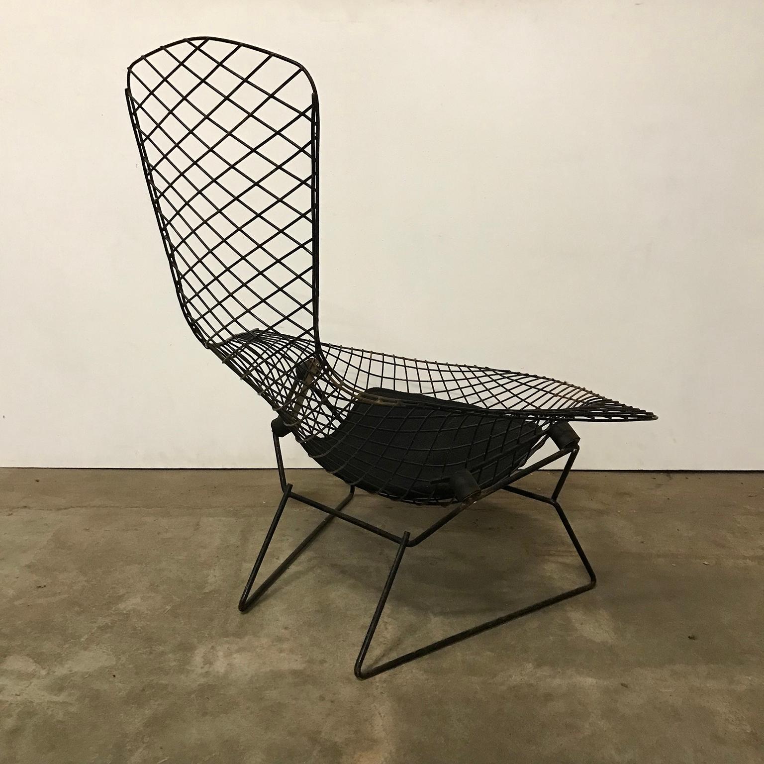 American 1952, Harry Bertoia for, Knoll International, Large Bird Chair in Black For Sale