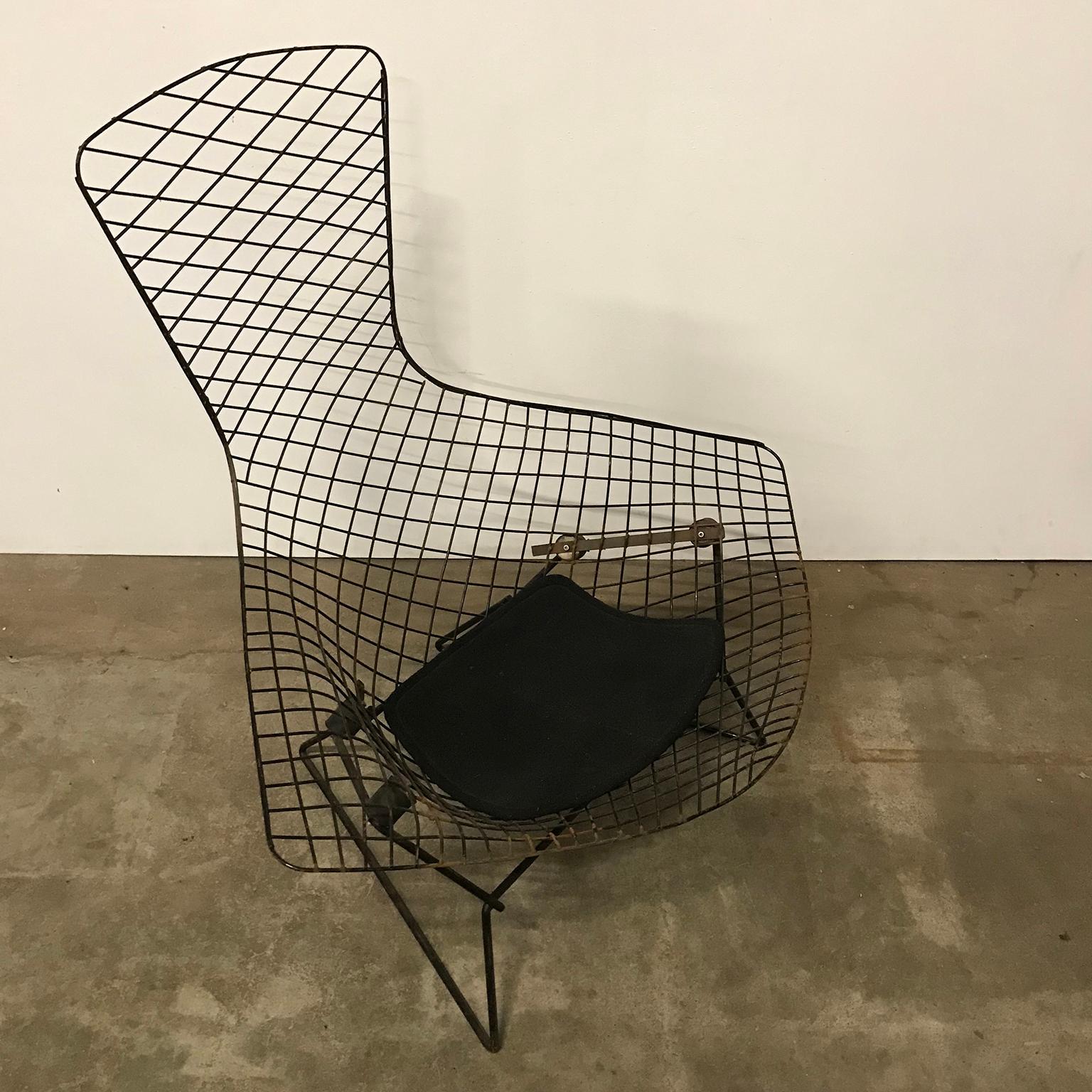 Metal 1952, Harry Bertoia for, Knoll International, Large Bird Chair in Black For Sale