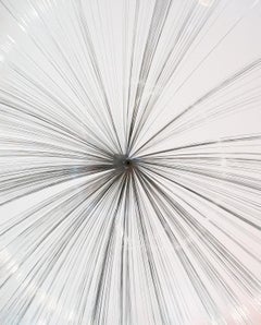 Ohne Titel (Suspended Willow)