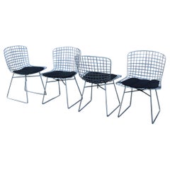 Chaises Harry Bertoria métal Knoll production 1970 Modèle 420
