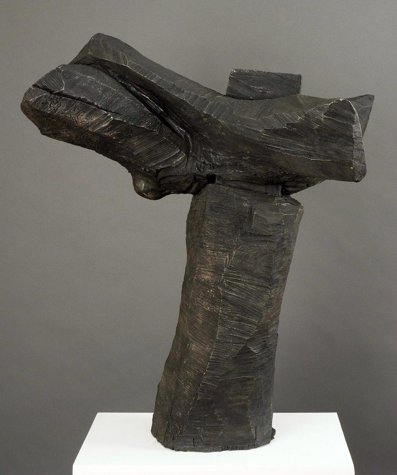 "Echo", Abstract, Organic, Unique Cast Bronze Metal Sculpture