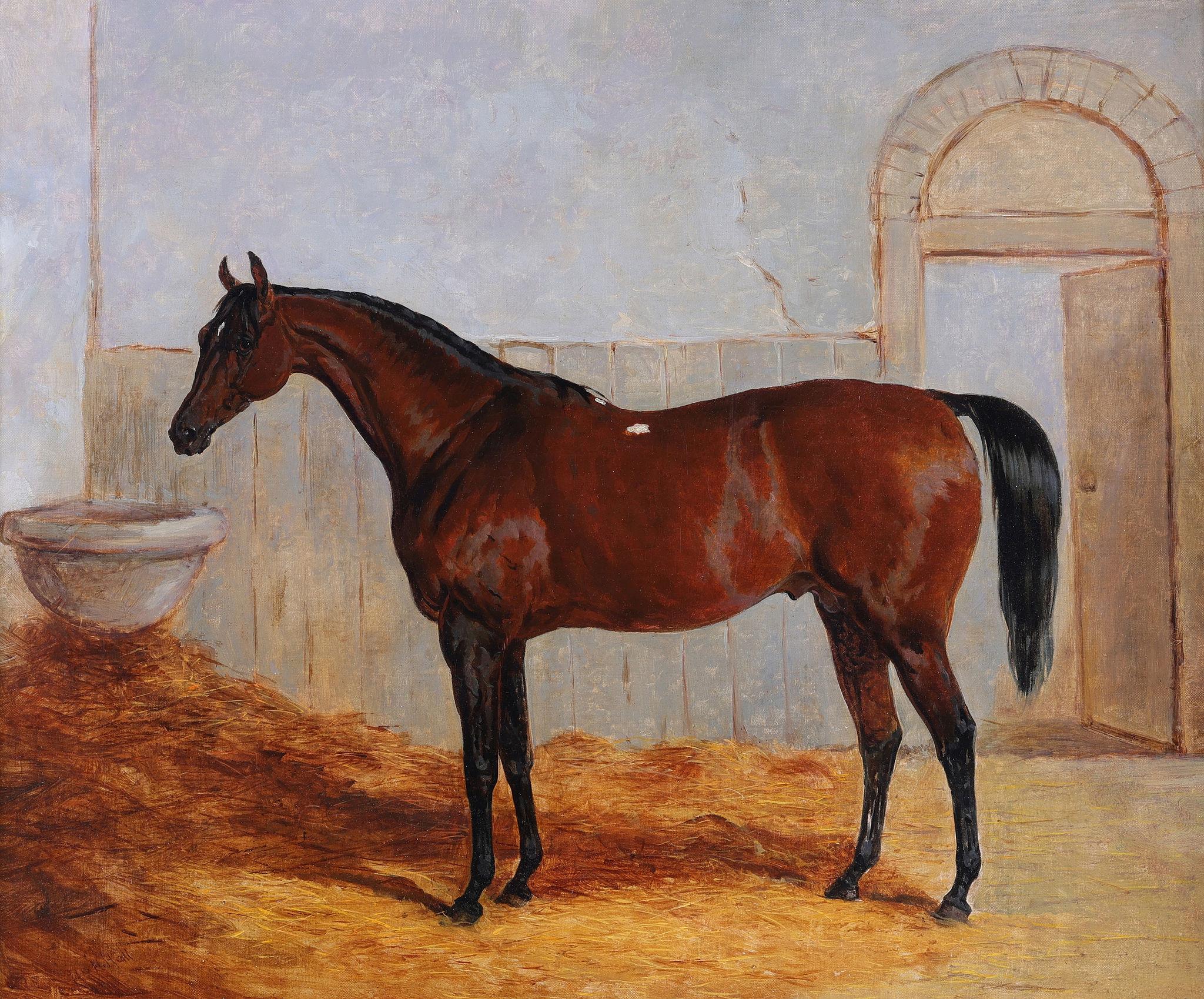 St. Francis . A Bay Hunter in a Stable - Painting by Harry Hall