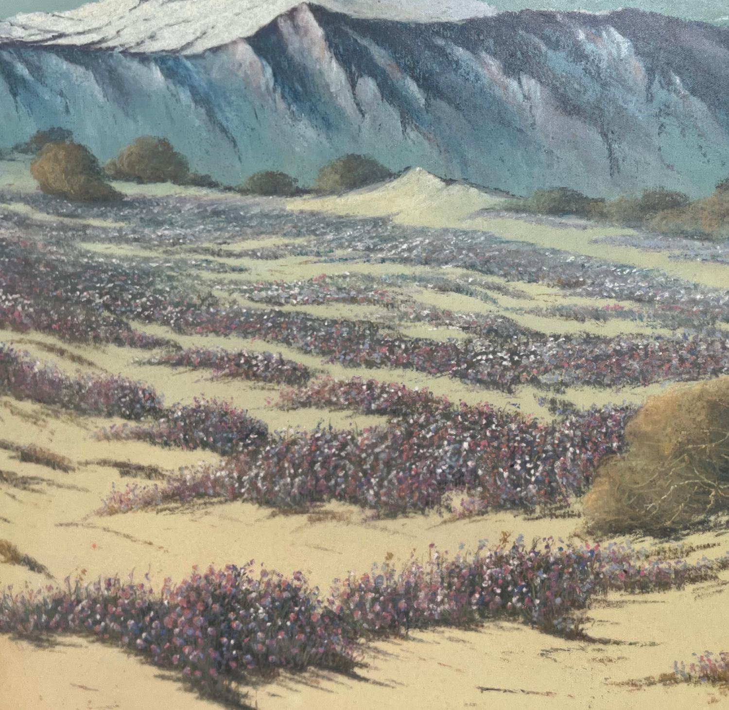 Blühende Wüste (San Bernardino Mountains), ca. 1925 im Angebot 2