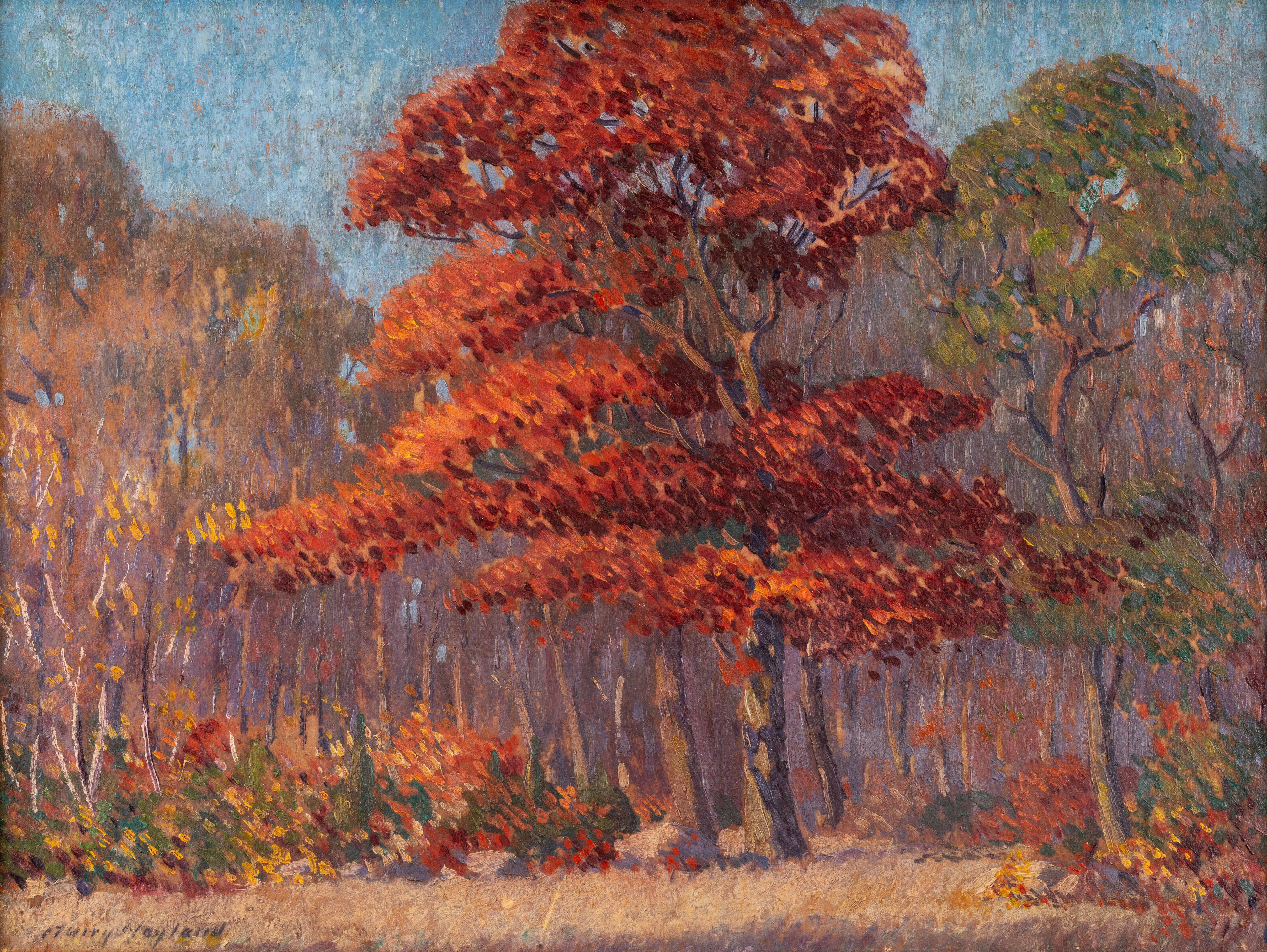 Le chêne rouge - Painting de Harry Neyland