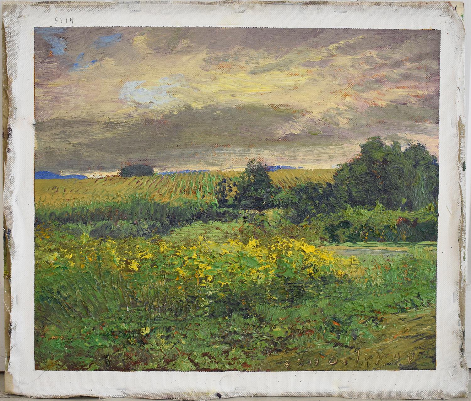 Harry Orlyk
#5714 Golden Rod, 2019
Impressionistic, en plein air summer landscape of a rural country field 
overlooking a mountains in the distance
oil on linen mounted on homasote board, ready to hang as is 
14 x 16.5 inches unframed 
Signed lower