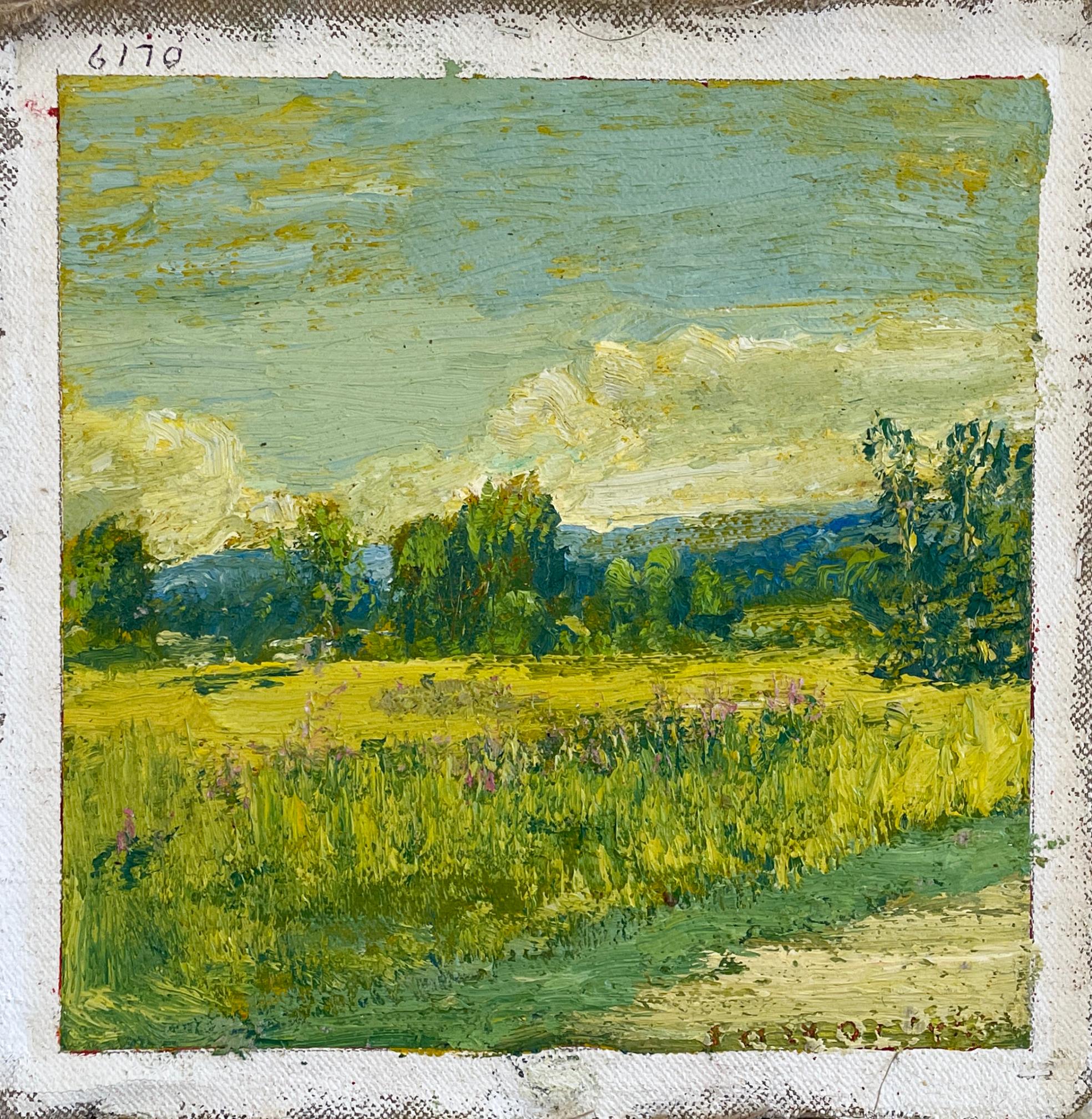 Un luogo ucraino (Vibrante paesaggio estivo con prato e nuvole a cascata) - Painting di Harry Orlyk