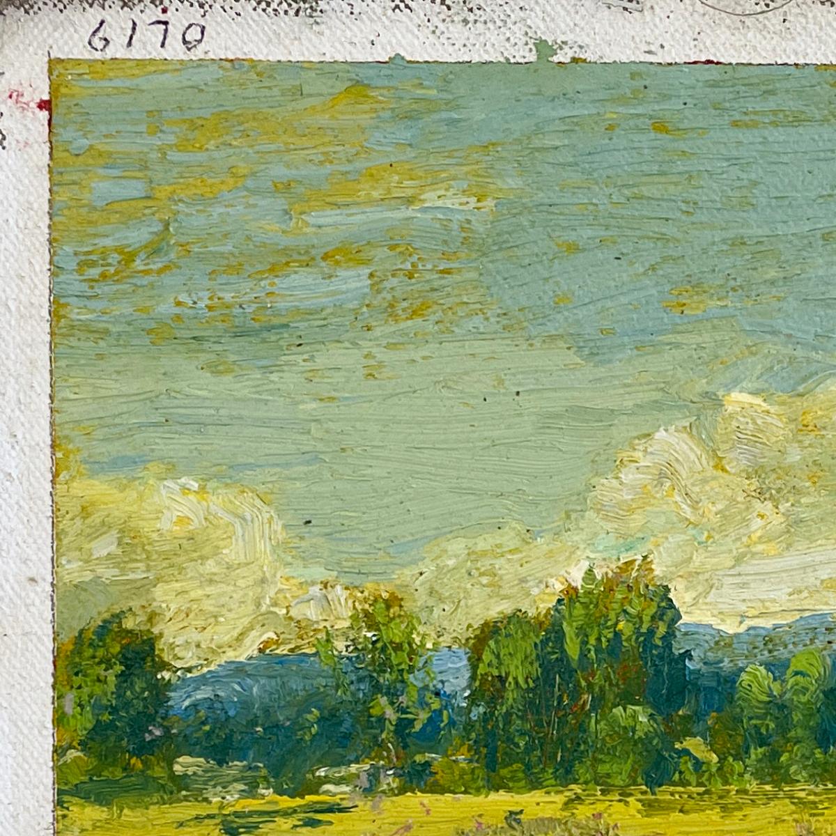 Un luogo ucraino (Vibrante paesaggio estivo con prato e nuvole a cascata) - Figurative Painting Verde di Harry Orlyk