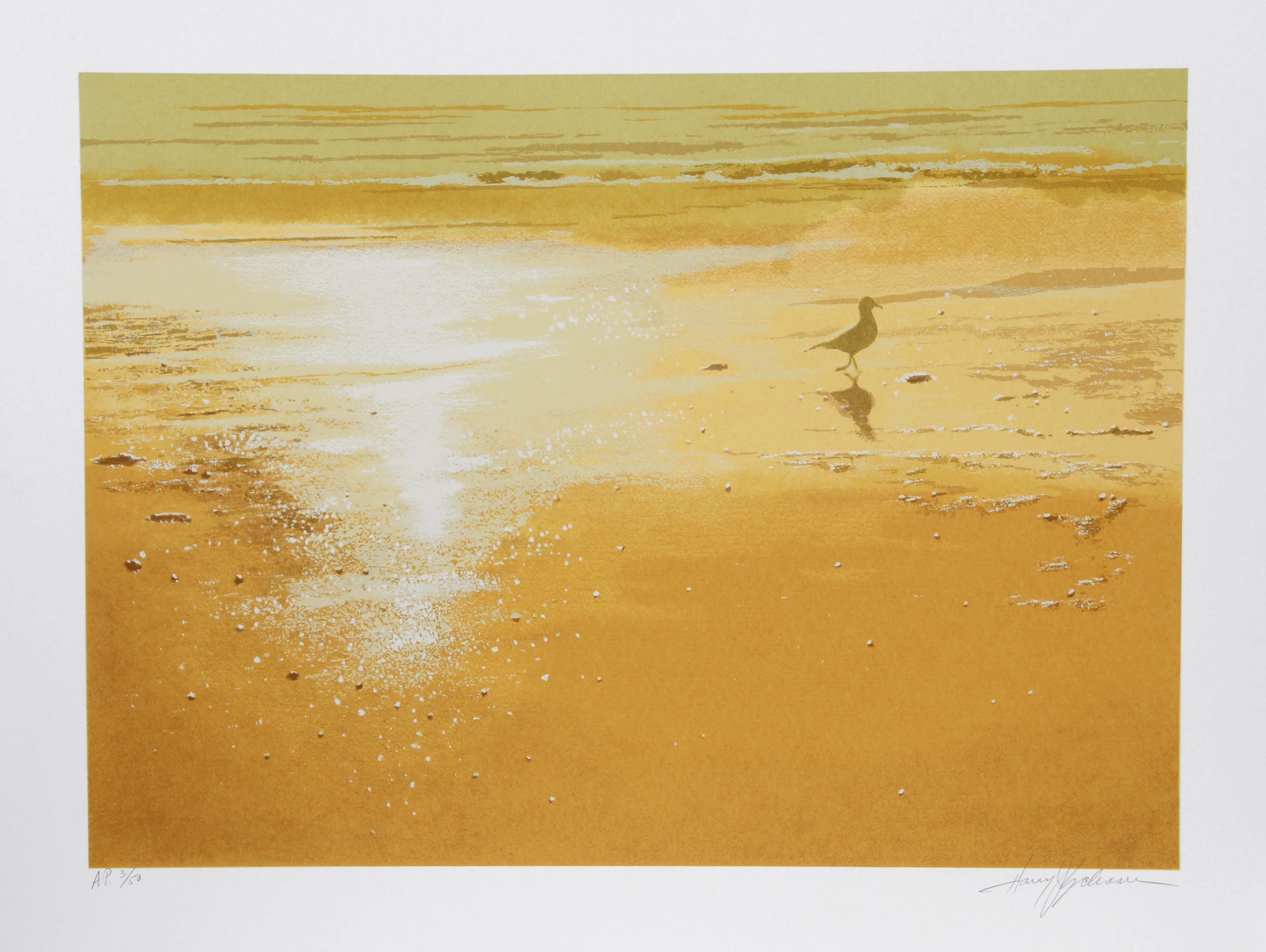 Harry Schaare, American (1922 - 2008) - The Seagull, Year:  circa 1979, Medium:  Screenprint, signed and numbered in pencil, Edition:  300, AP 50, Image Size:  21 x 29 inches, Size:  35 in. x 27.5 in. (88.9 cm x 69.85 cm)