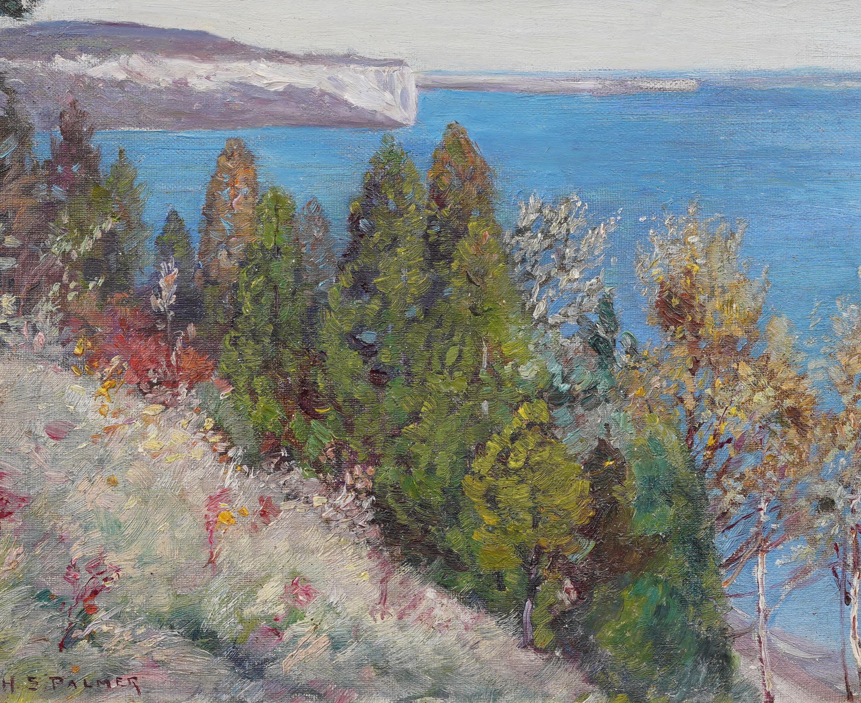 Antique Impressionist Coastal Landscape Wild Flower Nicely Framed Oil Painting For Sale 1