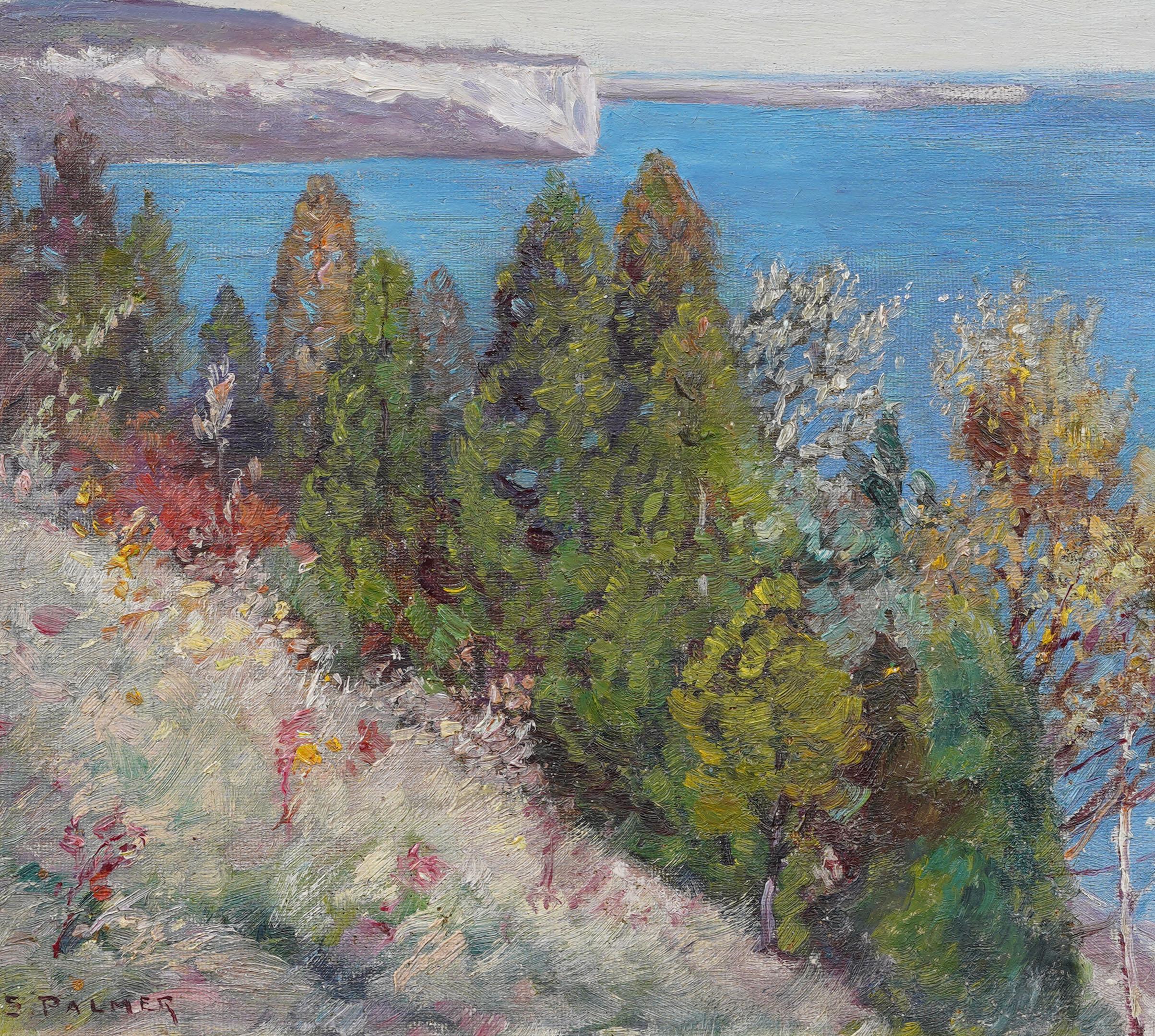 Antique Impressionist Coastal Landscape Wild Flower Nicely Framed Oil Painting For Sale 2