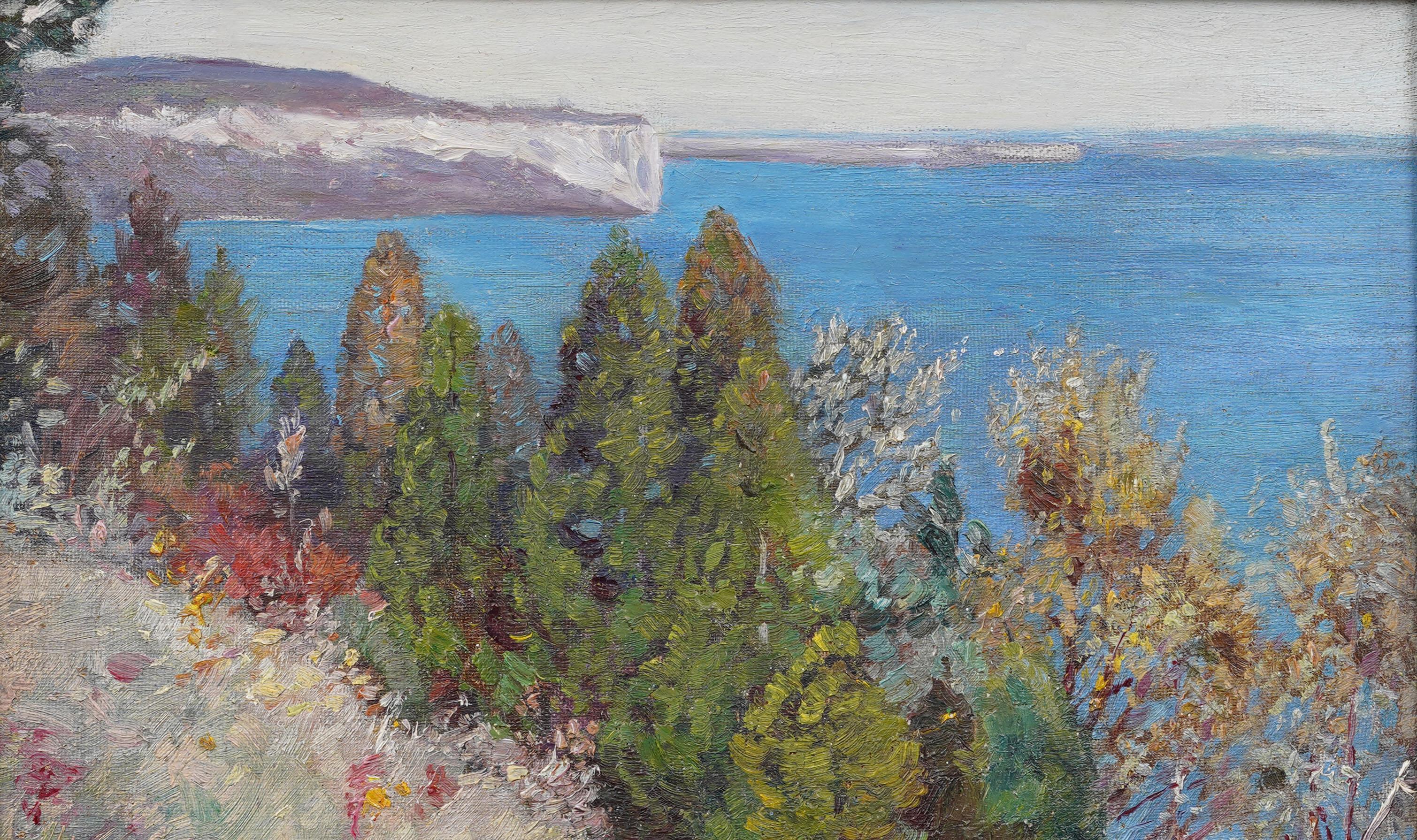Antique Impressionist Coastal Landscape Wild Flower Nicely Framed Oil Painting For Sale 3