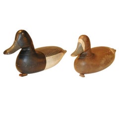 Harry V. Shourds & Ellis Parker Blue Bill Decoys, Tuckerton N.J