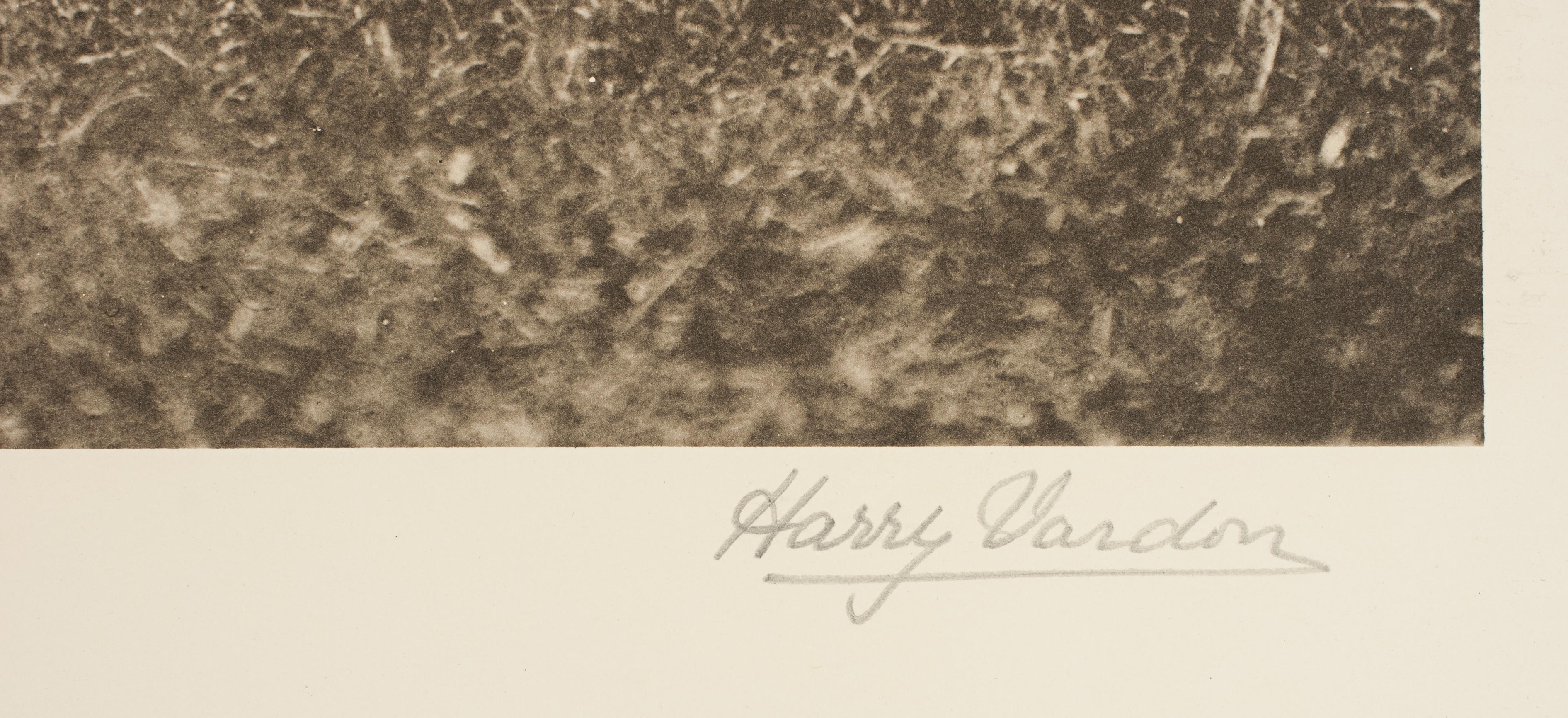 Early 20th Century 