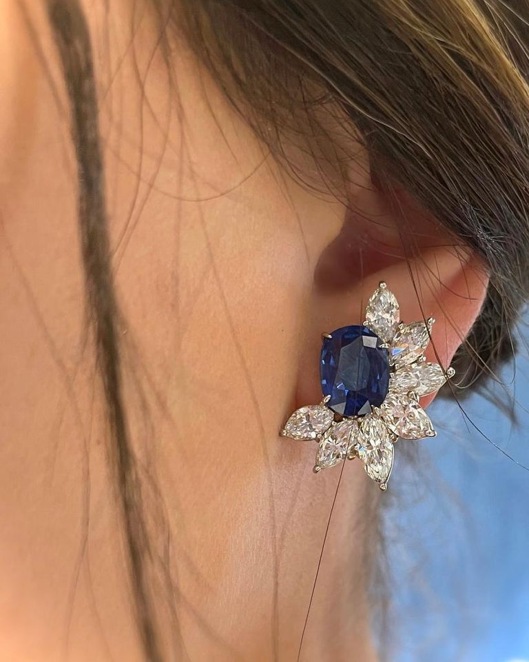 Harry Winston Sapphire Earrings For Sale Harry Winston Blue - Main Image