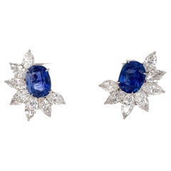 Harry Winston Blue Sapphire and Diamond Cluster Earring