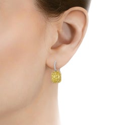 Harry Winston Fancy Intense Yellow Diamond Earrings, 11.05 carats