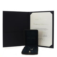 Harry Winston Lily Cluster Pendant Necklace Platinum with Diamonds Small