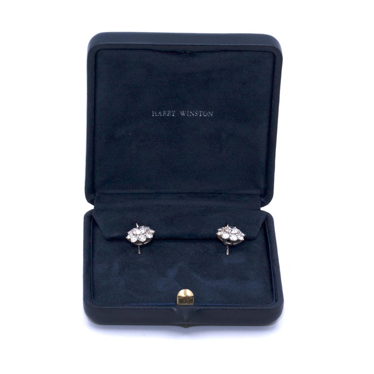 Harry Winston Sunflower Diamond Earrings at 1stDibs harry winston
