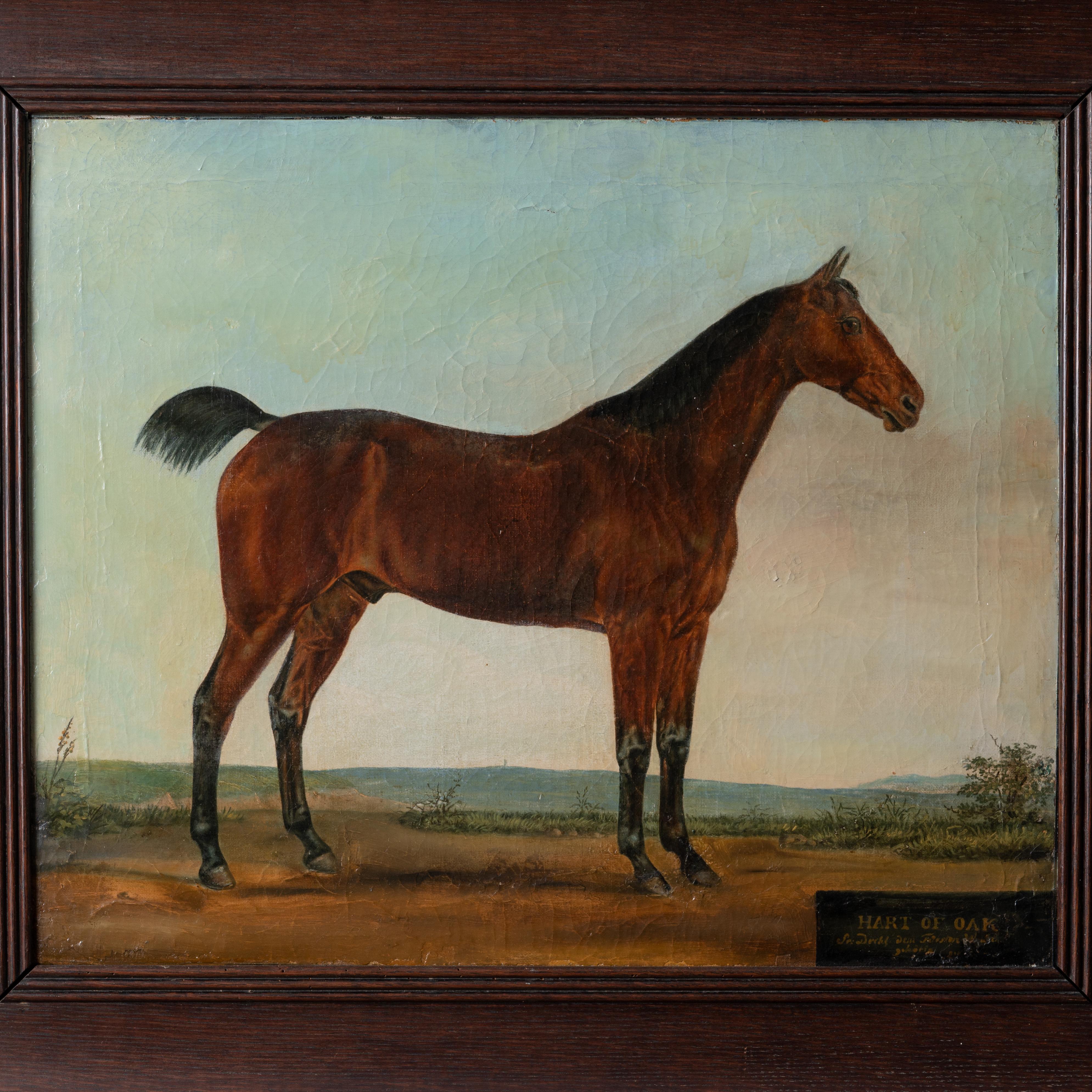 Pintura de retrato a caballo de Hart of Oak Oak, c.1870 Otro en venta