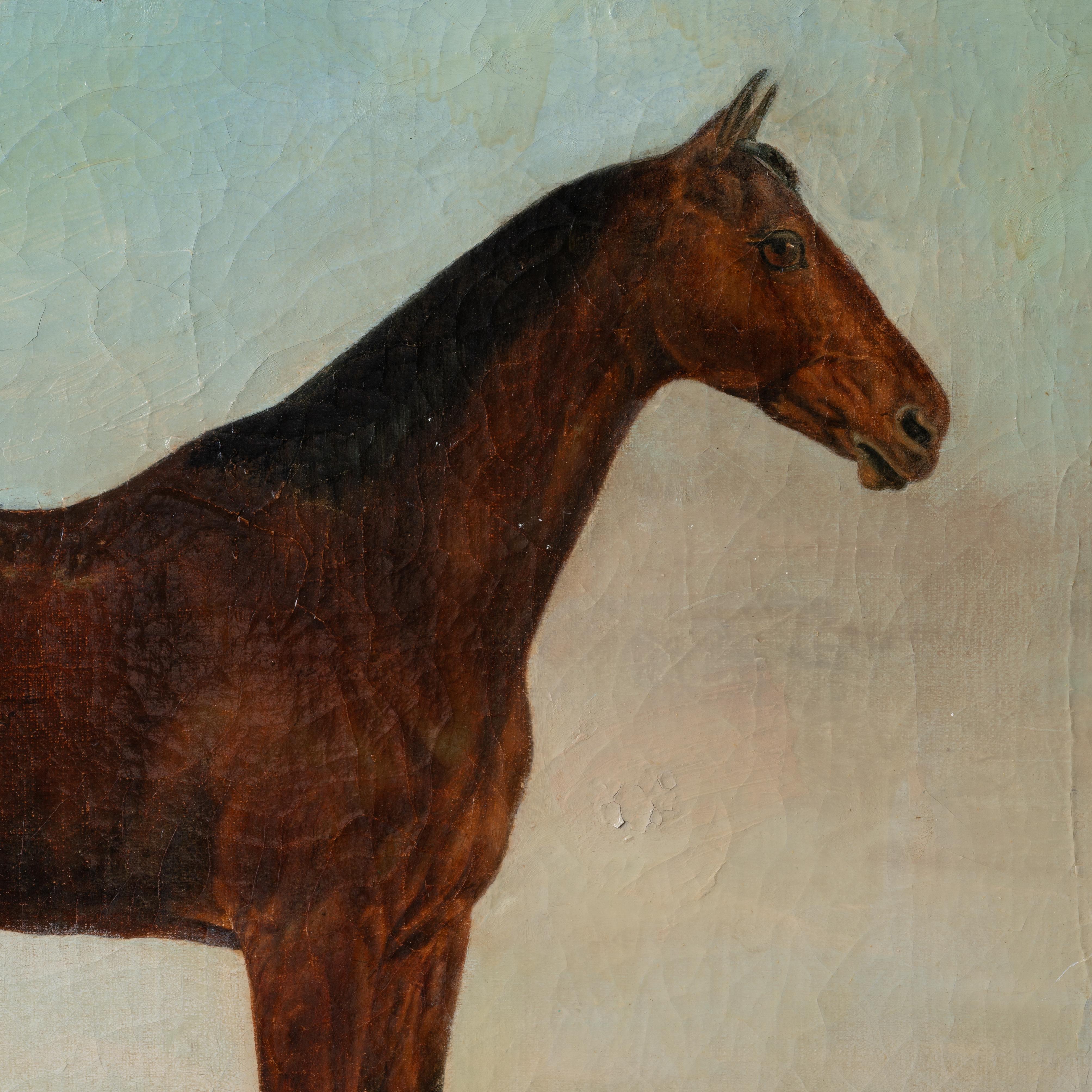 Pintura de retrato a caballo de Hart of Oak Oak, c.1870 siglo XIX en venta