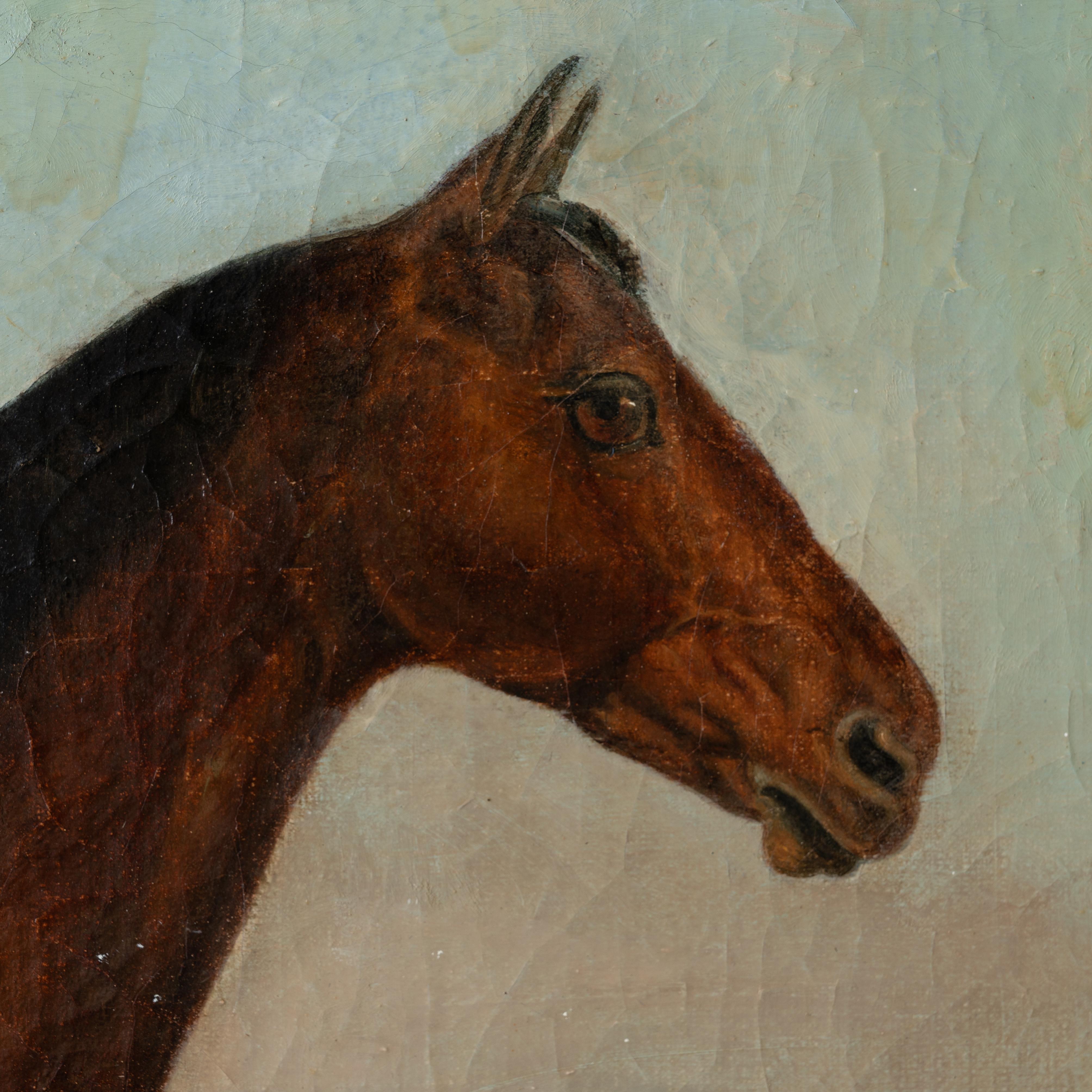 Pintura de retrato a caballo de Hart of Oak Oak, c.1870 Lienzo en venta