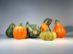 Harvest Of Italian Ceramic Squashes And Gourds, Hand Painted Collection c1980s