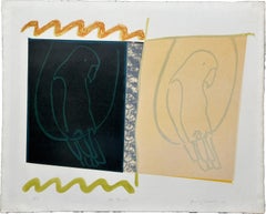 Two Parrots 1966 Original Signed Lithograph Pop Art