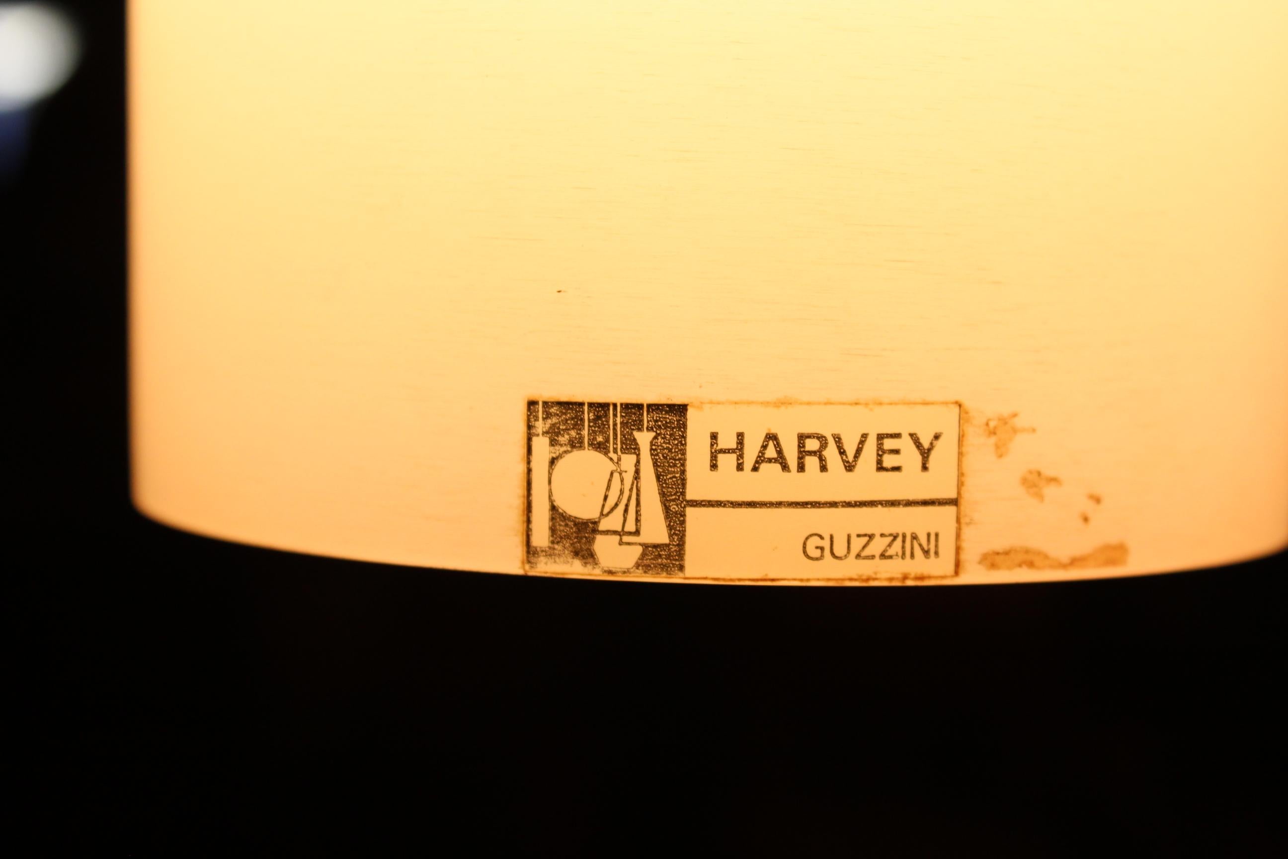 Midcentury  Perspex Metal Pendant Chandeliers  Design Harvey Guzzini 1960s 4
